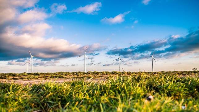 風電場，能源，綠色，可持續發展，風能