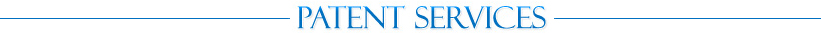 Patent Prosecution Services