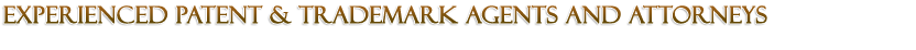 Experienced Patent Agents & Attorneys for US and Taiwan Filings