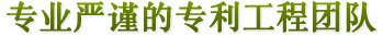 专业严谨的专利工程团队